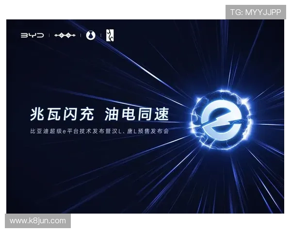 k8凯发国际平台游戏种类丰富多样满足不同玩家的多样需求