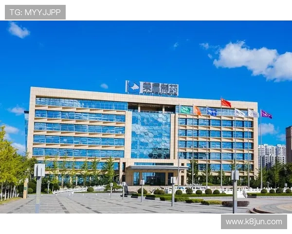 凯发国际k8官网介绍最新优惠政策与充值提现指南，帮助玩家轻松实现资金管理